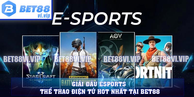 Giải Đấu Esports - Thể Thao Điện Tử Hot Nhất Tại BET88